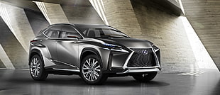 gray Lexus SUV
