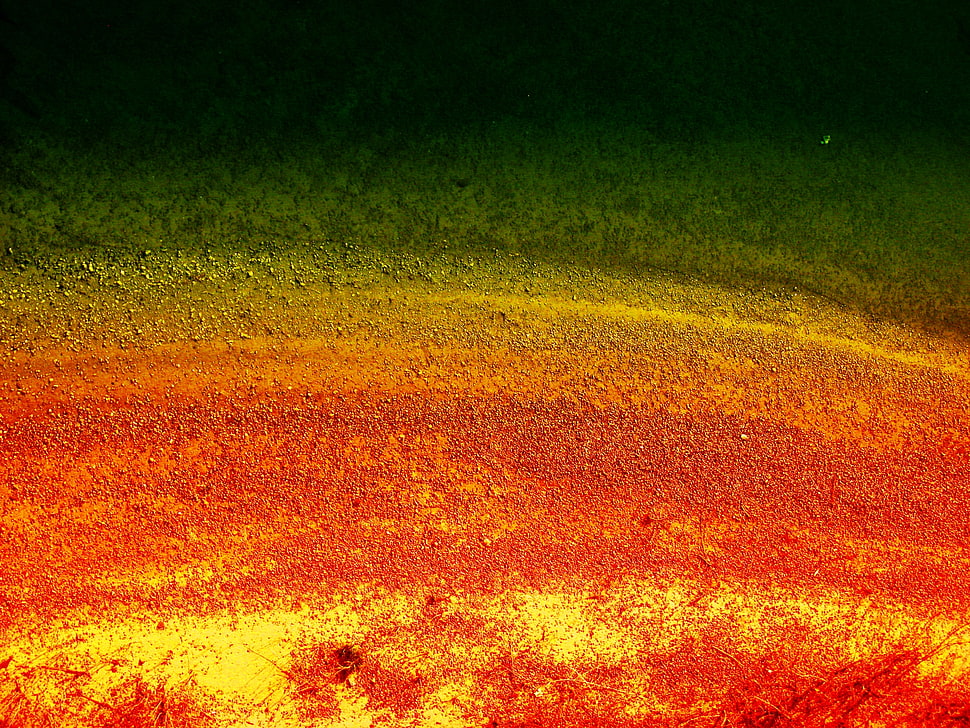 multicolored abstract painting HD wallpaper