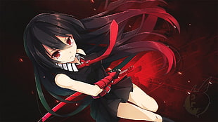 black hair female anime character, Akame ga Kill!, black clothing, Akame