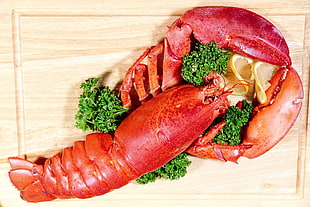 cooked lobster with sliced citrus on brown wooden surface HD wallpaper