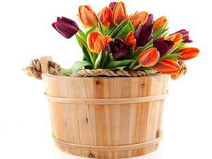 focal point of purple and orange flowers on brown wooden bucket