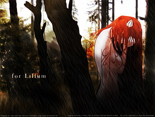 red haired female anime character, Elfen Lied, Lilium HD wallpaper