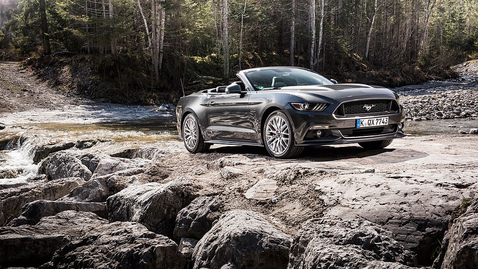 black Ford Mustang convertible coupe, Ford Mustang, car, Convertible, forest HD wallpaper