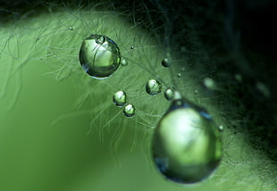 closeup photography of water droplets