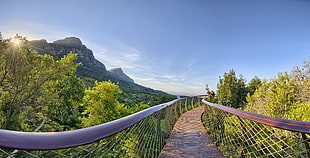 white and green pet house, Cape Town, South Africa, Table Mountain, bridge