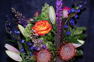 close-up photo of variety colors of flowers