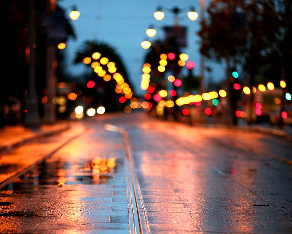 asphalt road during night HD wallpaper
