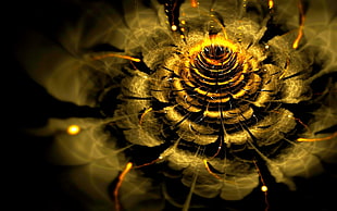 brown flower, abstract, fractal, fractal flowers HD wallpaper
