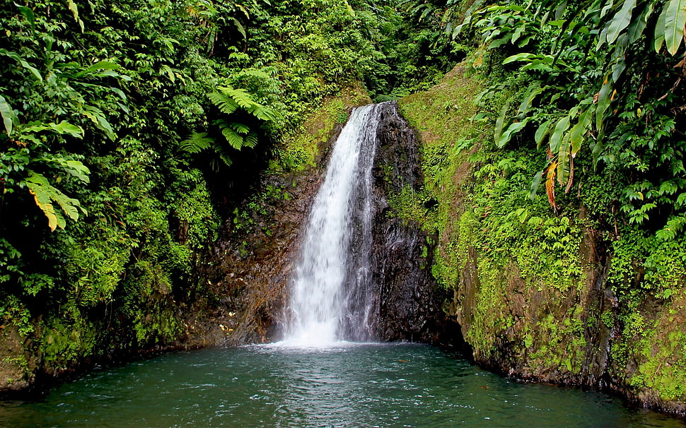 waterfalls with green fields HD wallpaper