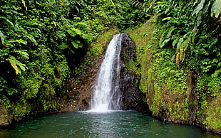waterfalls with green fields