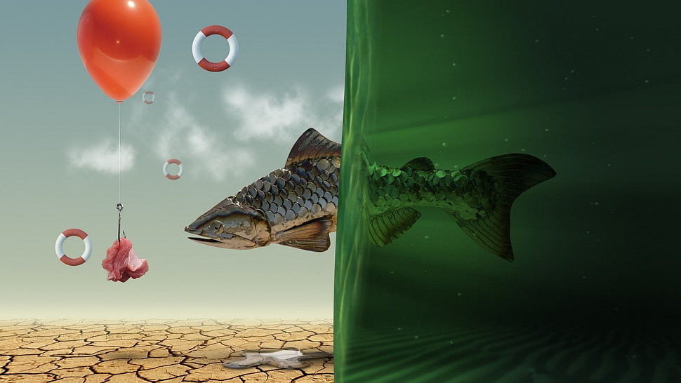 silver fish illustration, fish, balloon, water, Spec Art HD wallpaper