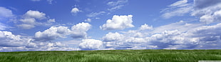 green grass, multiple display, sky, clouds, grass HD wallpaper