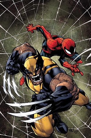 Wolverine and Spider-Man digital wallpaper