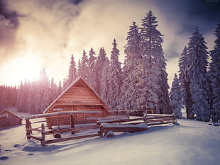 photo of brown wooden cabin surrounded by trees during winter season