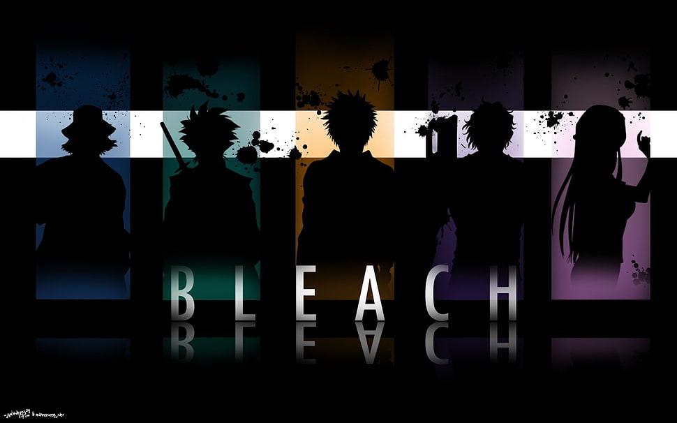 Bleach anime digital wallpaper, Bleach HD wallpaper