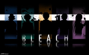 Bleach anime digital wallpaper, Bleach