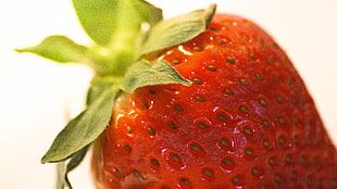 macro photography strawberry fruit