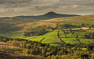 greenfield with trees and mountain at daytime