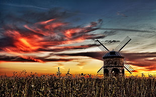 focus photography of brown wind mill HD wallpaper