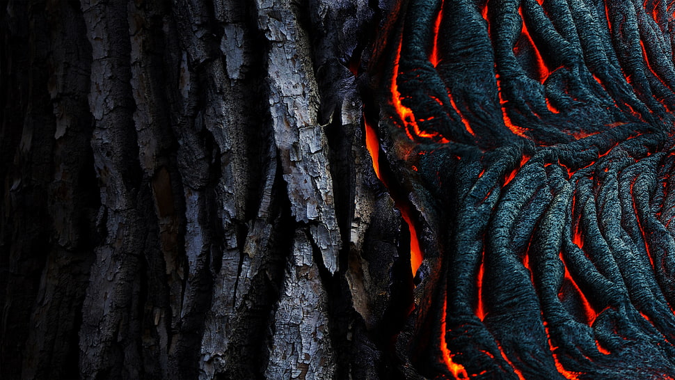 black tree bark, abstract, lava, black, texture HD wallpaper