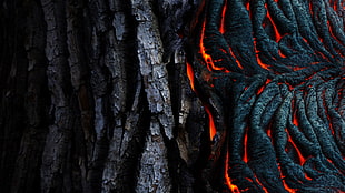 black tree bark, abstract, lava, black, texture