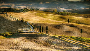 brown and green field, Pienza, field, Italy, Tuscany HD wallpaper