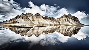 brown and white horse painting, Iceland, reflection, mountains, nature