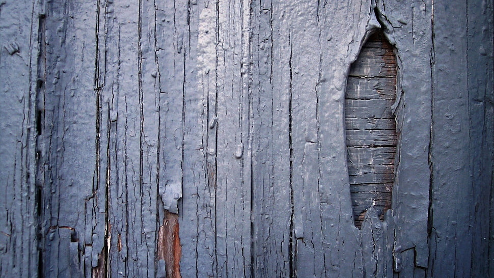 gray wooden frame, wood, wooden surface, wall, texture HD wallpaper