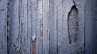gray wooden frame, wood, wooden surface, wall, texture HD wallpaper