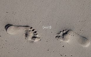 gray sand footprints HD wallpaper