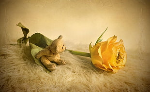 brown bear plush toy beside yellow flower on white fur textile