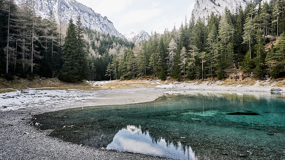 lake near forest during daytime, austria HD wallpaper