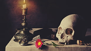red daisy flower, skull, candles, flowers, books