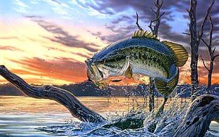 gray and black fish painting, nature, landscape, painting, artwork