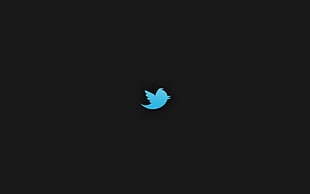 Twitter logo HD wallpaper