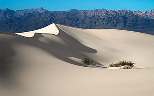 white sand desert, desert, landscape, simple HD wallpaper