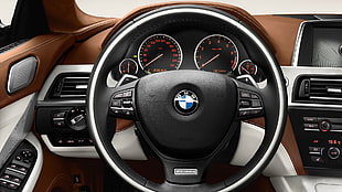black and gray BMW steering wheel, BMW 6, car