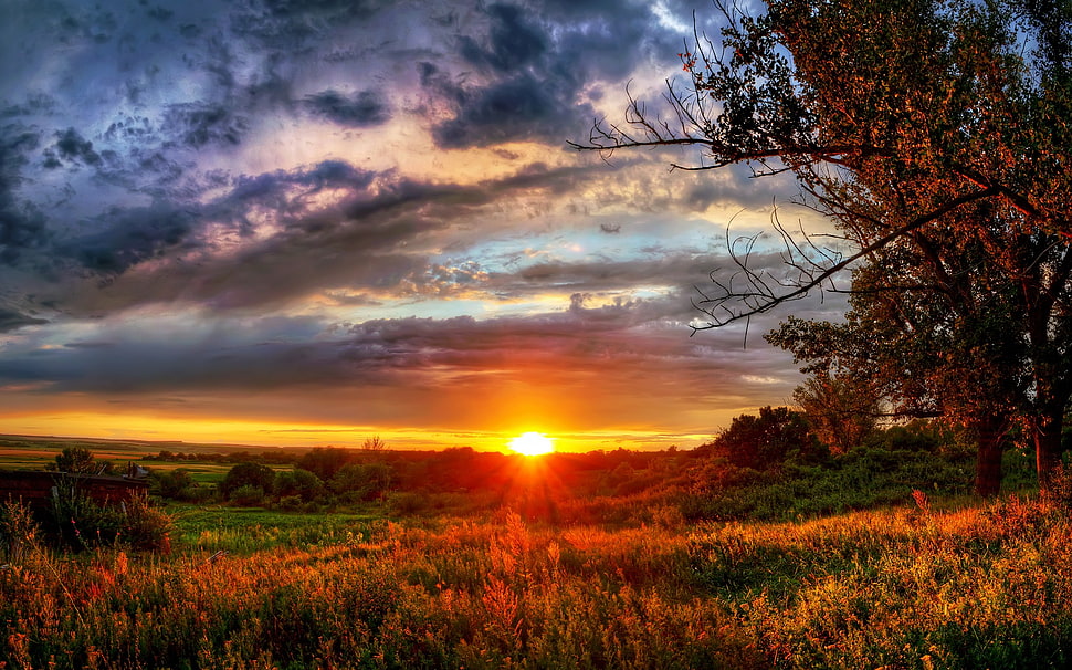 Sunset HD wallpaper