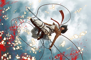 Attack on Titan Mikasa wallpaper, Shingeki no Kyojin, Mikasa Ackerman HD wallpaper