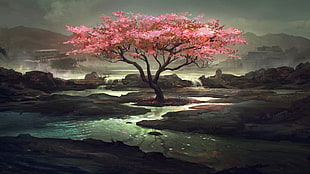 landscape photo of pink Cherry Blossom tree
