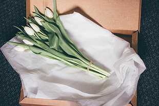 white tulips, Tulips, Bouquet, Packing