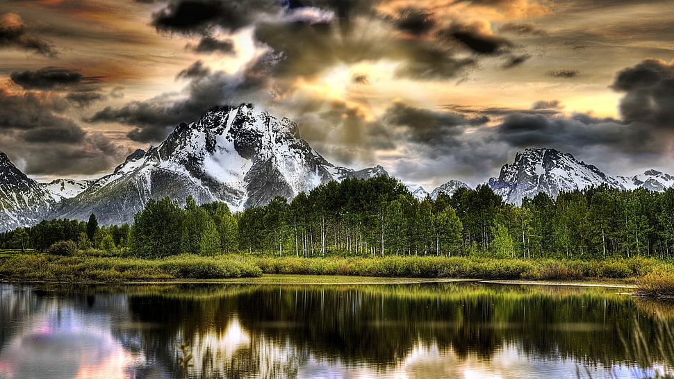 snowy mountain near trees HD wallpaper