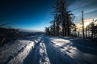 white and black concrete house, snow, winter, landscape, path