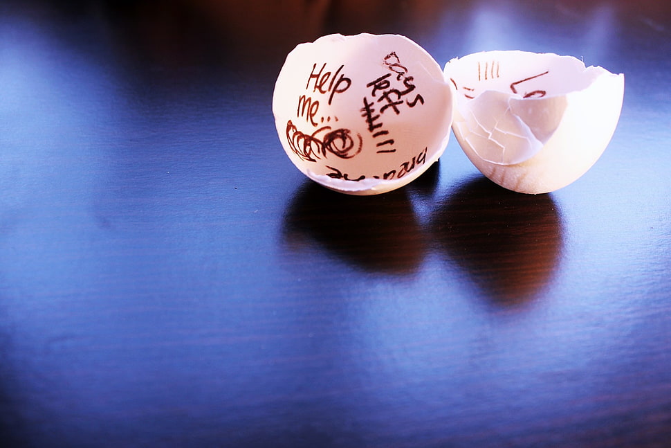 cracked egg shells, eggs, broken, writing, help note HD wallpaper