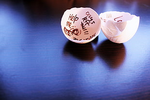 cracked egg shells, eggs, broken, writing, help note