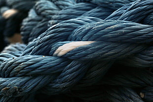 rope, knot, boat rope, sailor's knot