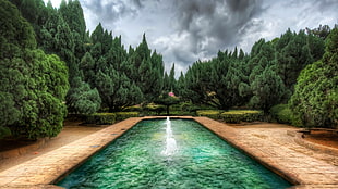 brown above-ground pool, fountain, trees, HDR, garden