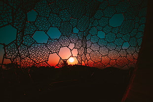 honeycomb artwork, Grid, Night, Light