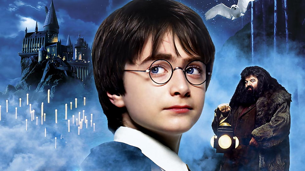 Harry Potter wallpaper, Harry Potter, Hogwarts, lantern, castle HD wallpaper