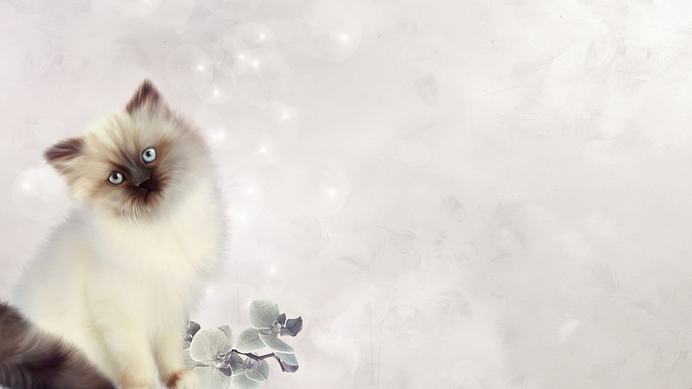 silver-colored heart pendant, cat, persian cat HD wallpaper